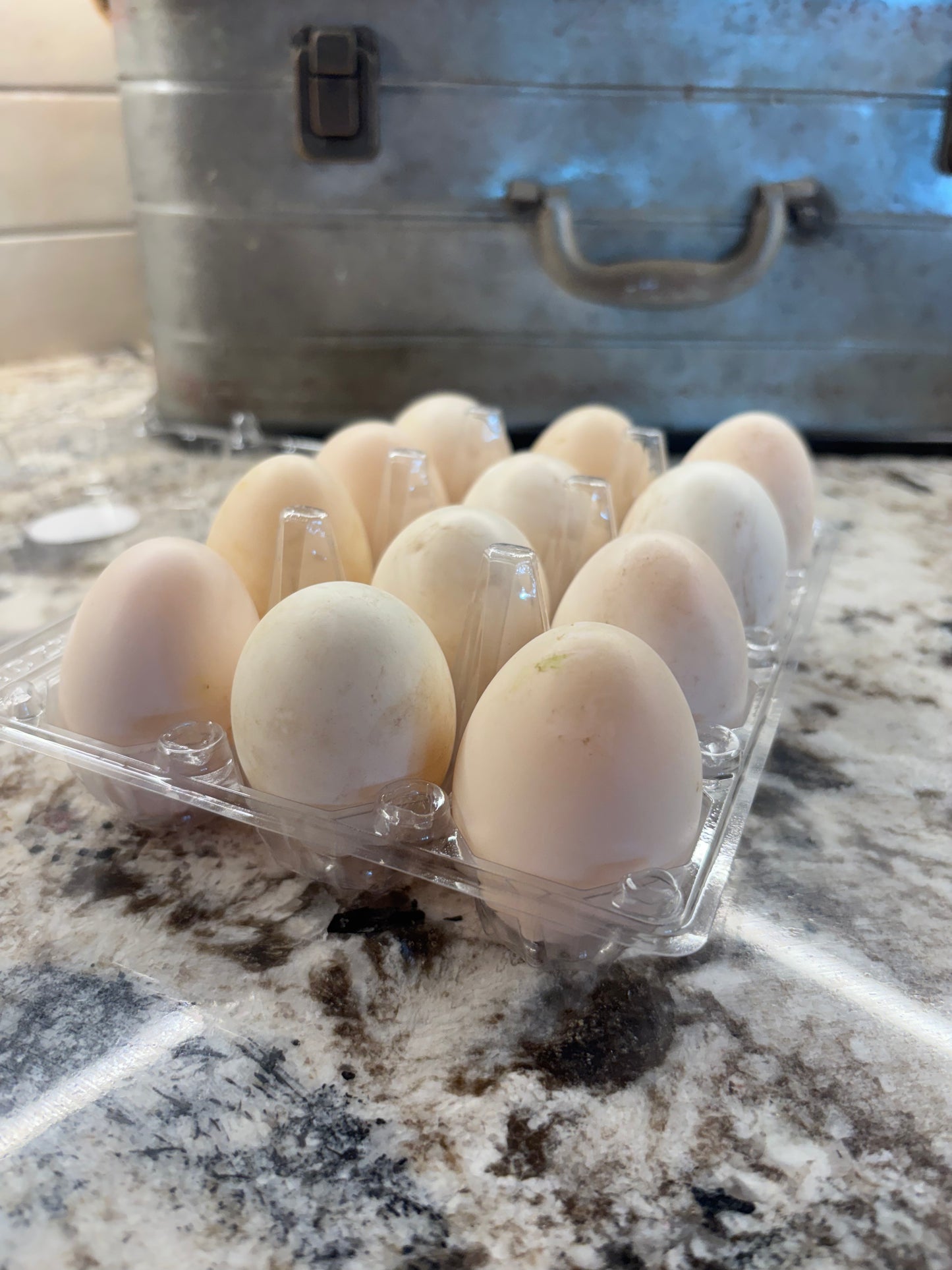 Duck Eggs
